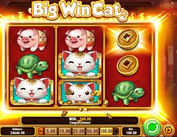 รูปแบบการเล่น Big Win Cat สล็อตแตกง่าย